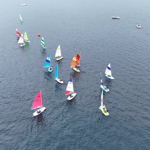 Fleet 29