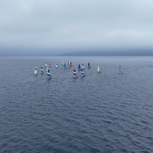 Fleet 31