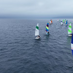 Fleet 33