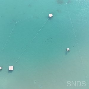 Csa Outer Docks 3